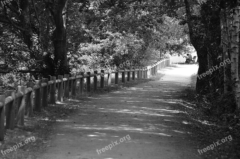 Allee Promenade Black And White Relaxation Outdoor