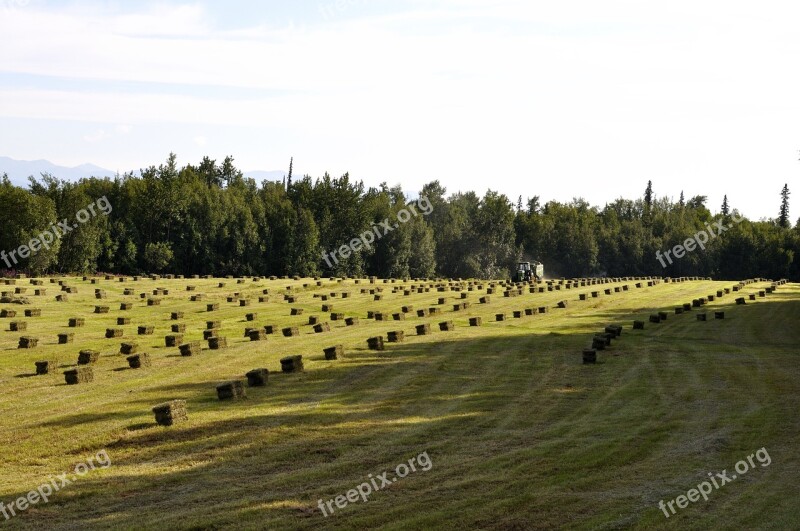 Farm Hay Tractor Bale Free Photos