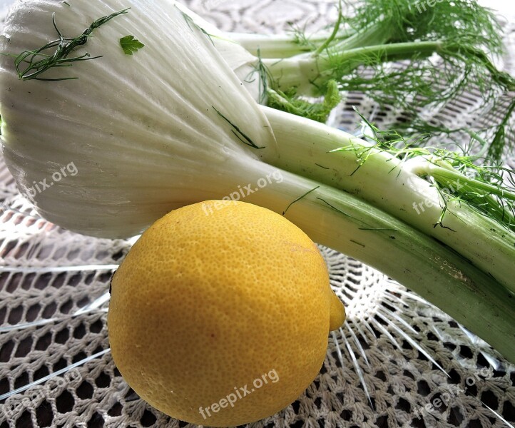 Fennel Lemon Fresh Vegetable Fruit