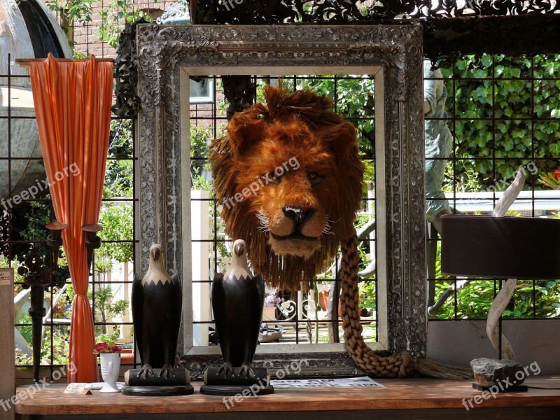 Antique Shop Oddities Brocante Lion Head Exhibition