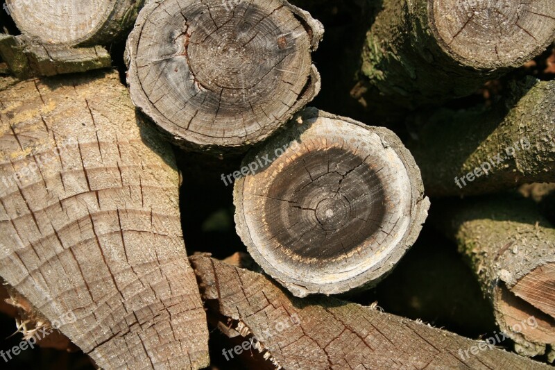 Wood Firewood Storage Combs Thread Cutting Stacked Up