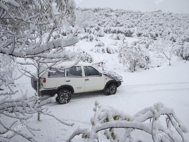 Winter Snow Nature Andalusia Path