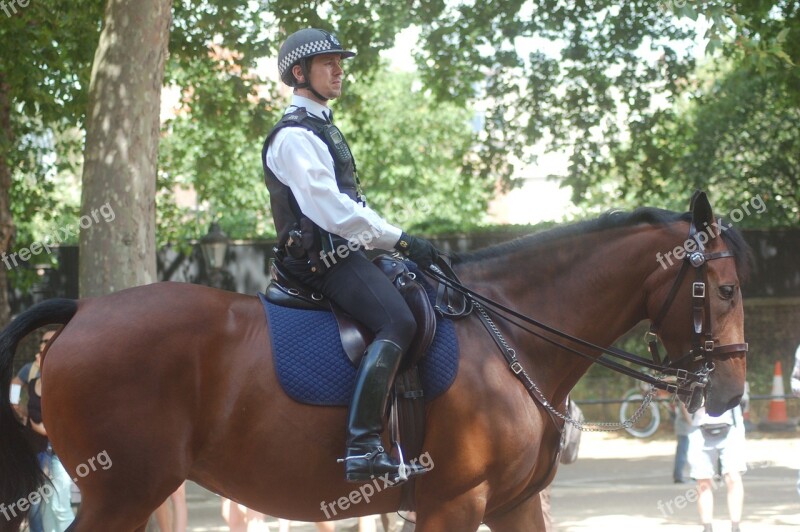 Policeman The Horse London Animal Galop