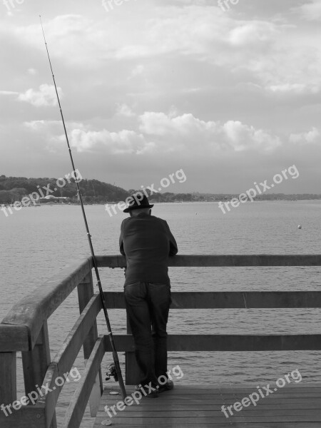 Fish Baltic Sea Timmendorfer Beach Sea Man