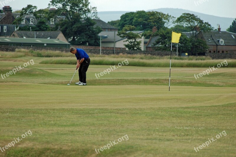 Golfer Putting Green Golf Green Golf