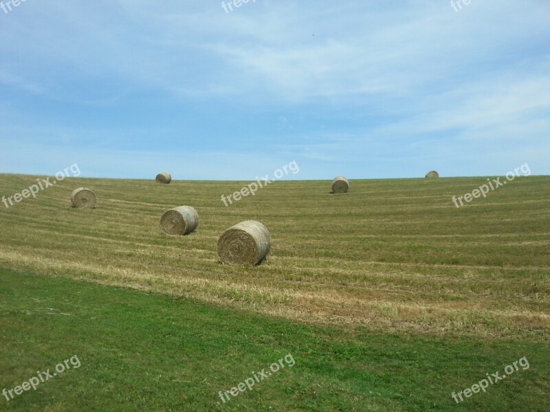 Bale Straw Hay Field Farm