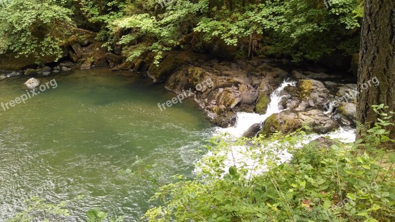 Water Green Nature Environment Leaf