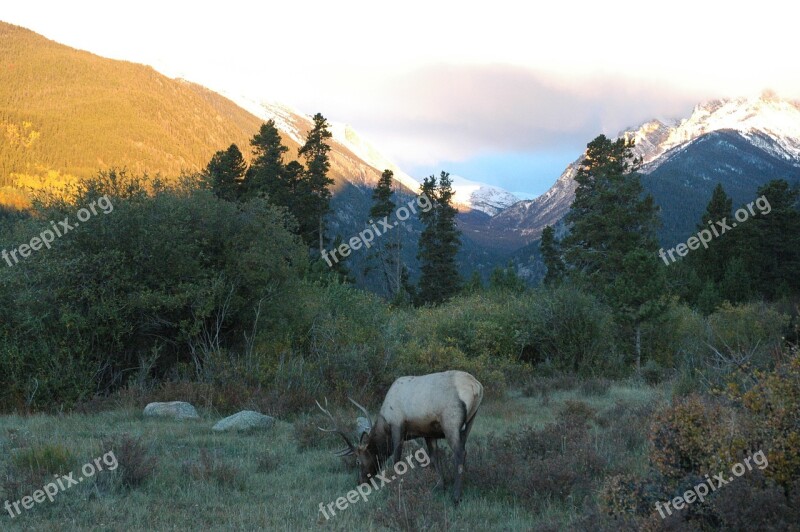 Estes Park Mountains National Colorado Mountains Outdoors