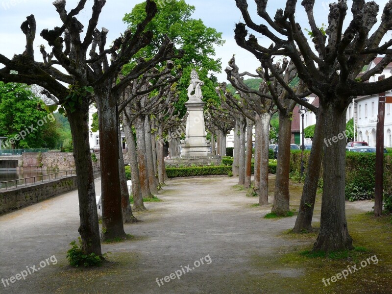 Bath Carlshaven Weser Avenue Tree Park