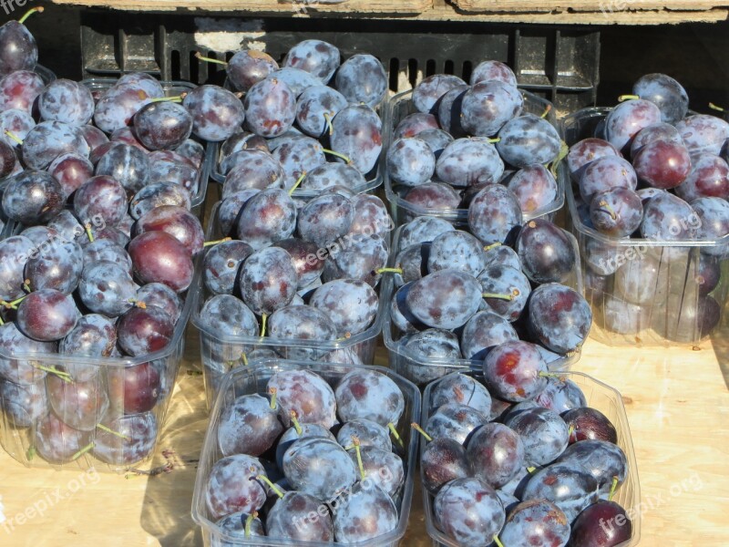 Plums Market Stall Fruit Free Photos