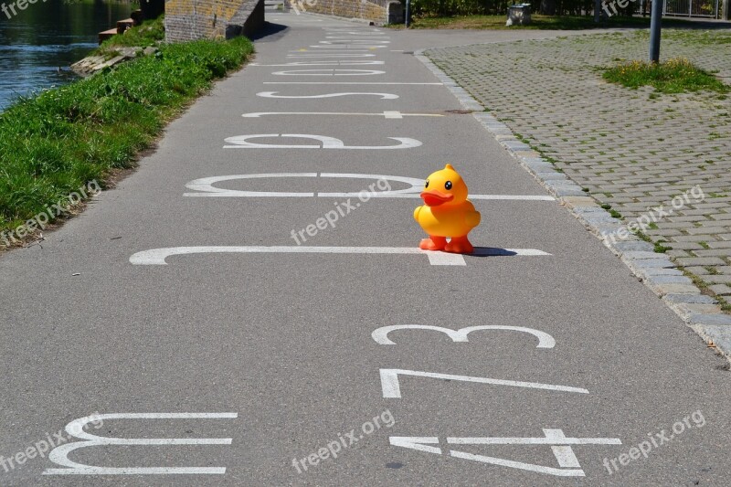 Duck Toys Bank Danube Ulm