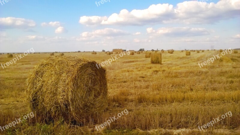 Nature Subsistence Farming Summer Living Nature Dacha