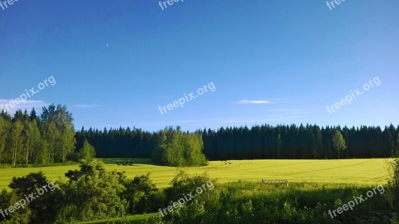 Field Yard In The Land Of Sky Landscape