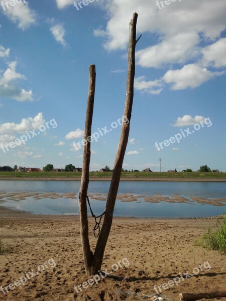 Elbe Water Beach Dry Tree Free Photos