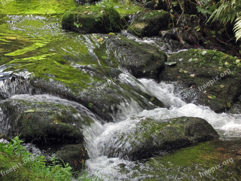 Black Forest Torrent Atmosphere Idyllic Germany