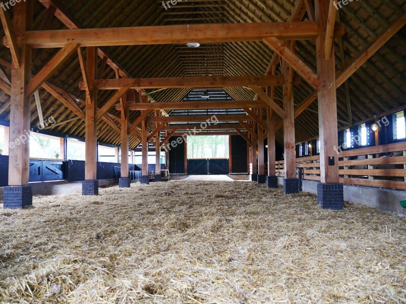 Stable Sheepfold Barn Straw Free Photos