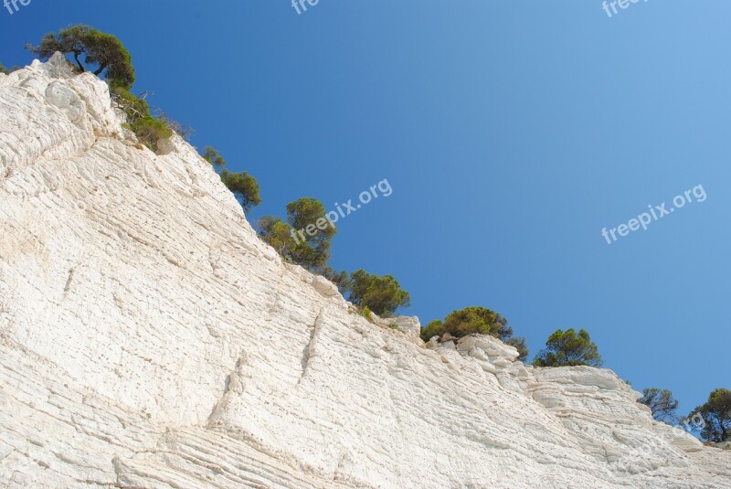 White Rocks Rock Plants Heaven Free Photos