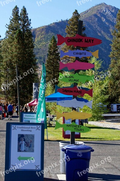 Salmon Festival Wenatchee River Salmon Fish Festival