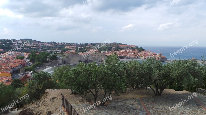 Collioure Landscape South Olive Trees Clouds