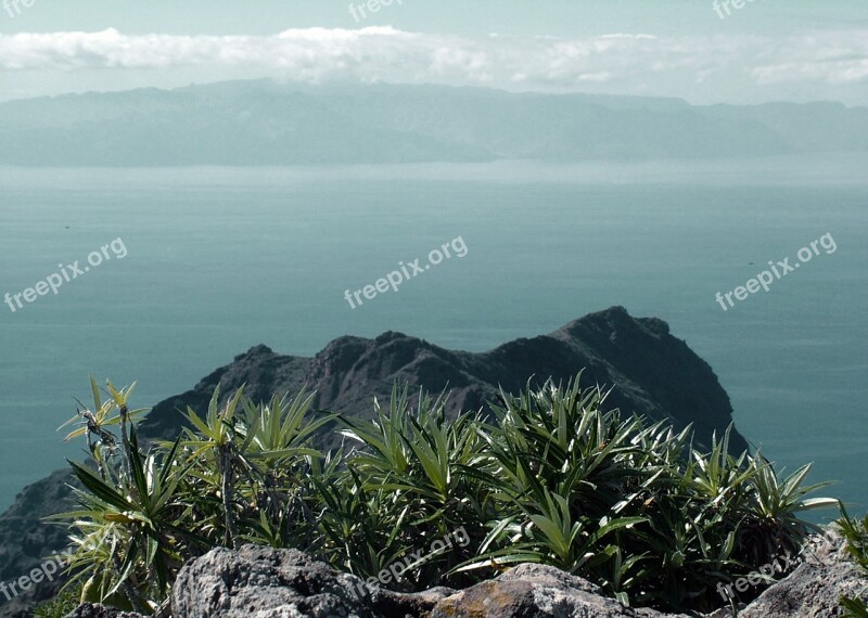 Tenerife Canary Islands Nature Spain Landscape