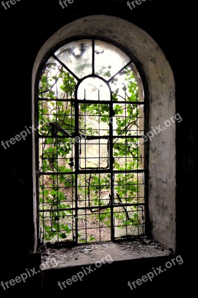 Window Old Grid Lapsed Glass