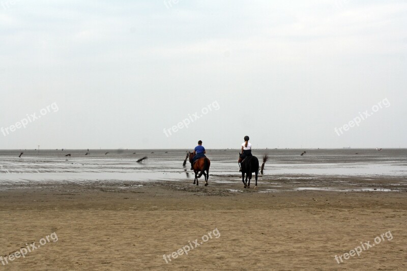 North Sea Wadden Sea Ride Ebb Cuxhaven