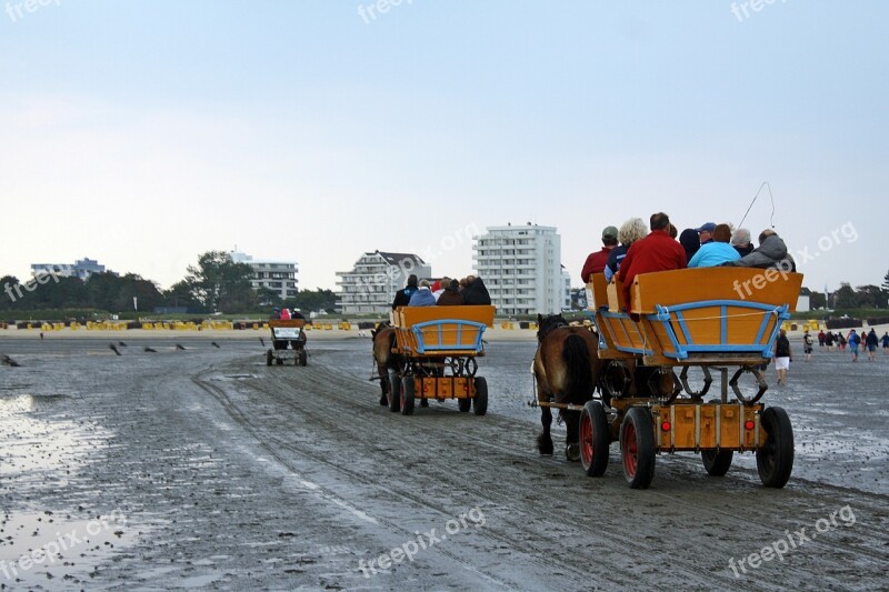 North Sea Wadden Sea Watt Car Travel Coach Ebb