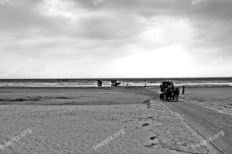 North Sea Wadden Sea Watt Car Travel Coach Cuxhaven