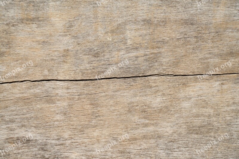 Wood-fibre Boards Timber Wood Background Material