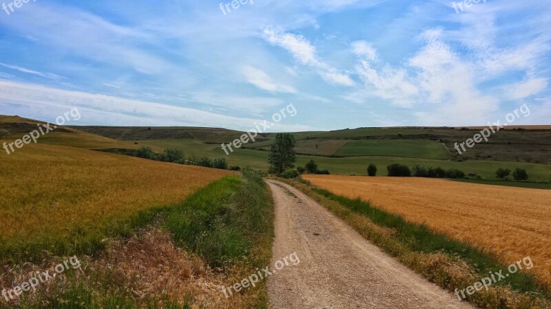 Make A Pilgrimage Jakobsweg Nature Away Trail