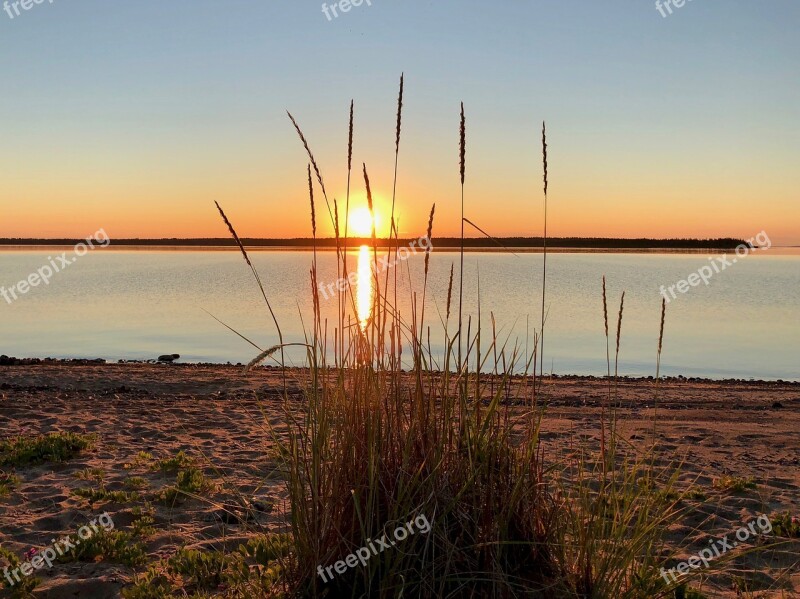 Smålsön Sunset Grass Luleå Free Photos