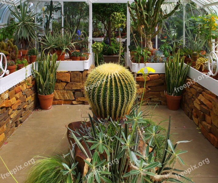 Tulsa Victorian Conservatory Conservatory Plants Greenhouse Horticulture