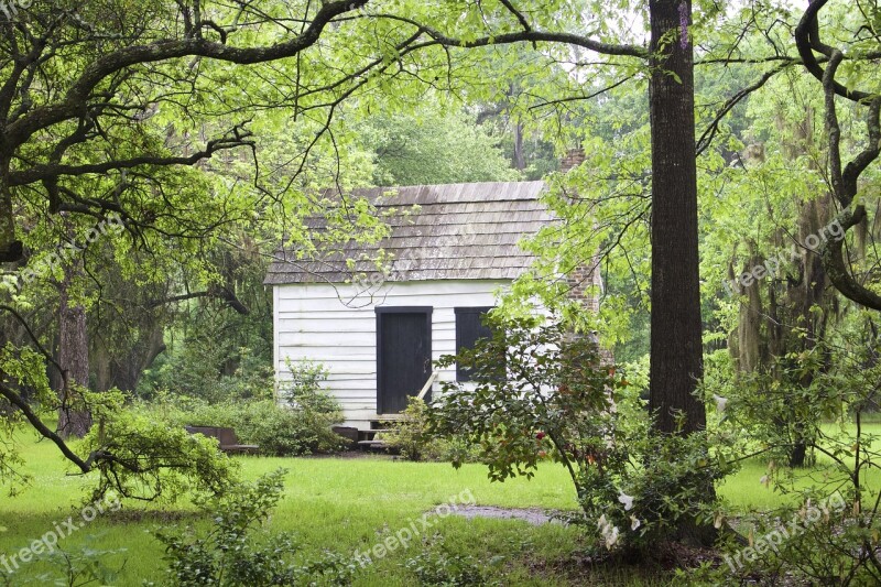 Cabin Charleston Trees Free Photos