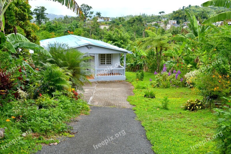 House Green Garden Pathway Puerto Rico