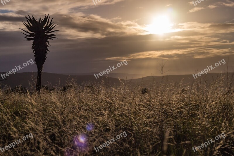 Golden Hour Sunset Sky Clouds Landscape