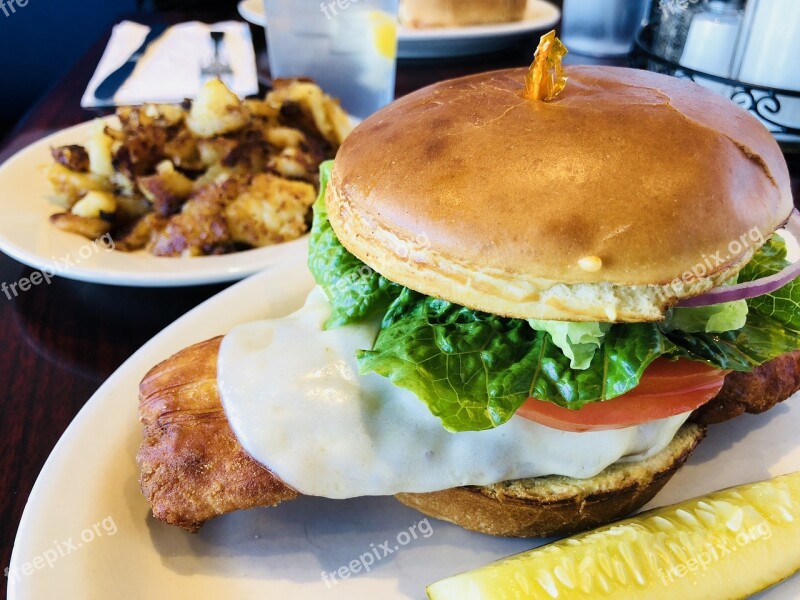 Fish Sandwich Eating Out Dish Restaurant Food Fried Fish Sandwich