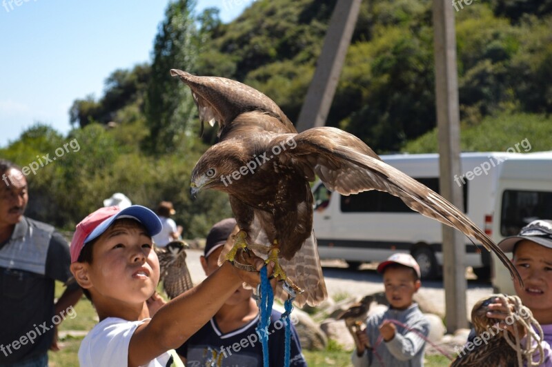 Kids Falcon Eagle Nature Baby