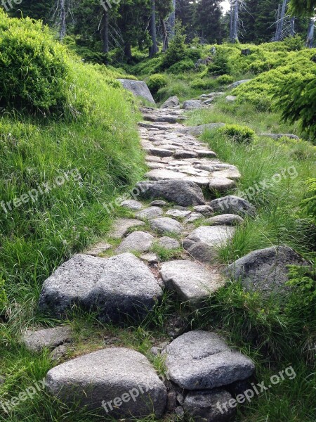 Krkonoše Giant Mountains Mountains The Path Tourism Trail