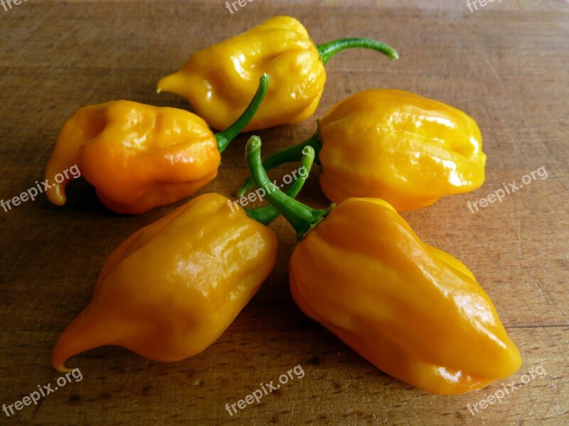 Chili Habanero Spicy Feferon Peppers