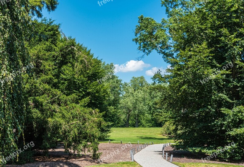 Path Estate Grounds Trees Blue Sky Summer