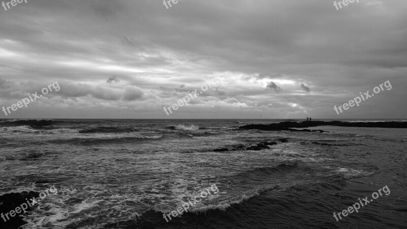 Jeju Beach Fishing Free Photos