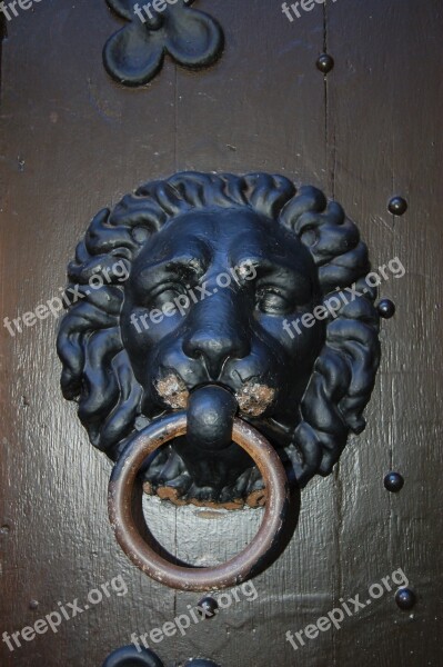 Door Knocker Lion Wood Metal Door Knowcker Wooden Doors