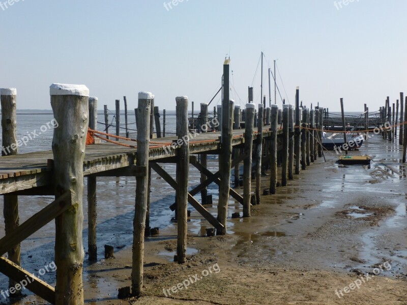 Web Wadden Sea Watts Boardwalk North Sea