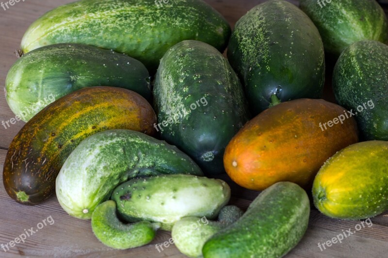 Vegetables Cucumbers Garden Cucumber Free Photos