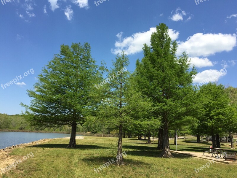 Park Green Space Outdoors Lake Picnic