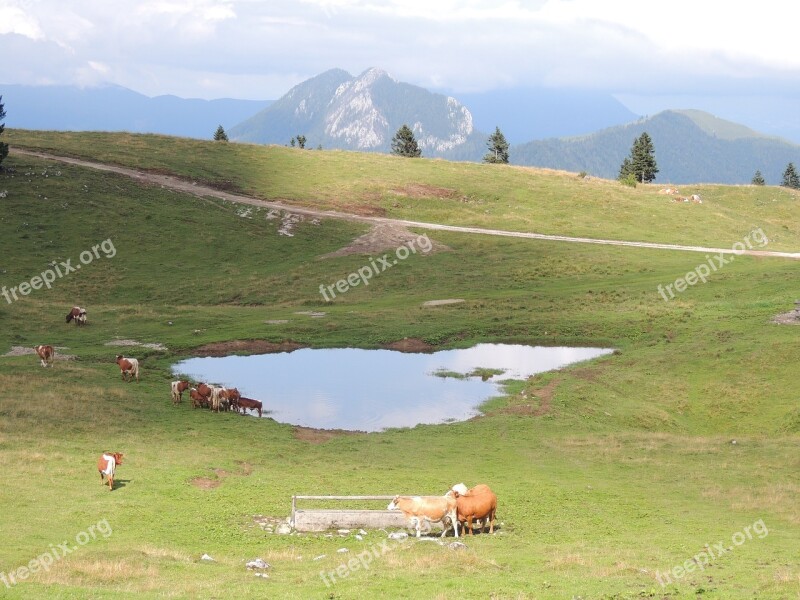 Slovenia Mountains Mala Planina Lake Nature