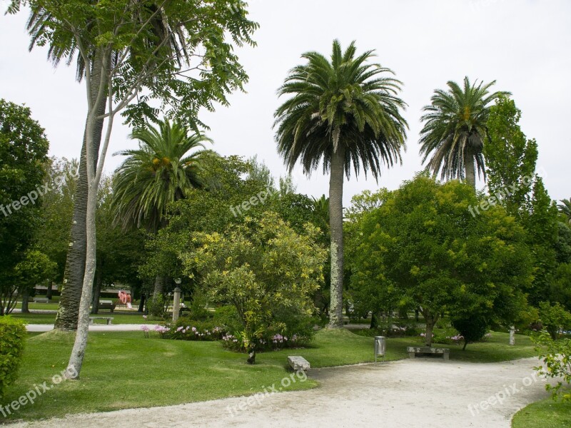 Garden Park The Toja Island Palms Green Space