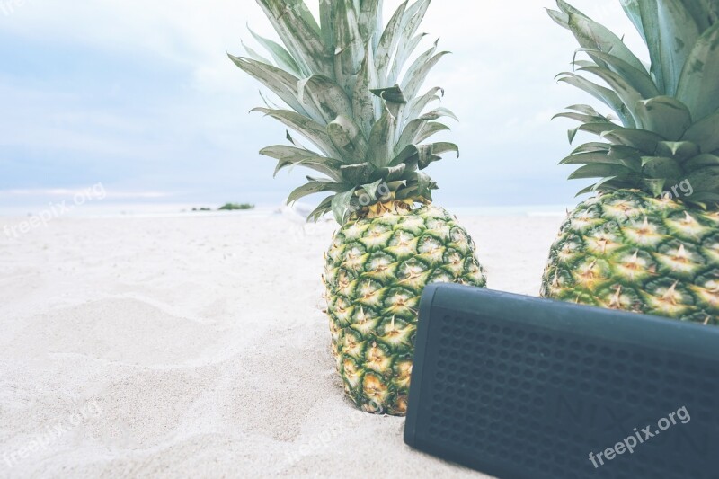 Pineapples Beach Picnic Music Sound