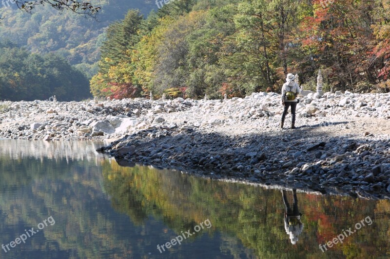 Mt Seoraksan Autumn Supplementary Autumn Leaves Free Photos