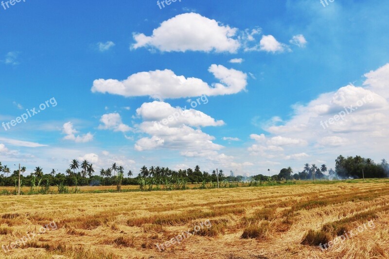 Sky Cloud Cornfield Na Free Photos